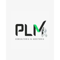 PLM CONSULTORIA & AUDITORIA ✅ logo - Similar company to Contabileasy
