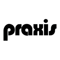 Praxis logo - Similar company to Laberinto Gris