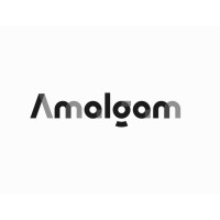 Amalgam Healthcare Analytics logo - Similar company to Smart Management Consultancy