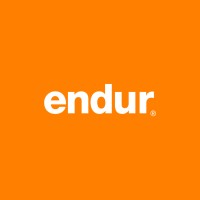 endur logo - Similar company to Mantraaq