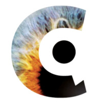 Core Quality International logo - Similar company to Ariadne | Creative-Experiential Training & Coaching