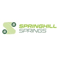 Springhill Springs Ltd logo - Similar company to Rem Digital Design