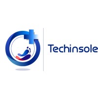 Techinsole logo - Similar company to One Box Logistics