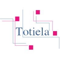 Totiela Consulting & Training logo - Similar company to Ide Solution
