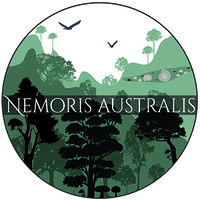 Nemoris Australis logo - Similar company to Lemu Rehue: Pensar Como Un Bosque