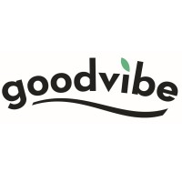 goodvibe.ch logo - Similar company to Pragmai