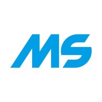 METALSISTEM TR logo - Similar company to Mouldplast Srl