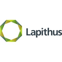 Lapithus Management logo - Similar company to Victoria Asset Management