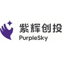 PurpleSky Capital logo - Similar company to Runway Advisors