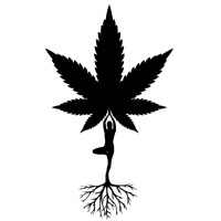 Wholesale Cannabis light Organic logo - Similar company to Cbd Rif Morocco