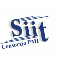 Consorzio SIIT PMI logo - Similar company to Dis4Sme Project