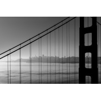 Pacific Search Firm logo - Similar company to Carbon Count, Llc