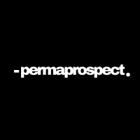 PERMAPROSPECT logo - Similar company to Roas Plug