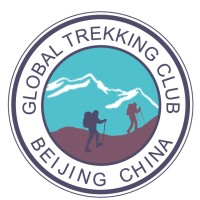 WILD PLANET (BEIJING) TECHNOLOGY Co., Ltd. logo - Similar company to Neural Galaxy