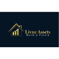 Livne Assets LLC logo - Similar company to Dos Holdings Llc