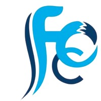 Ferdinard Olufemi & Co. logo - Similar company to Caattorneys