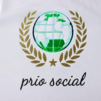 PRIO SOCIAL logo - Similar company to Prithvi Builts