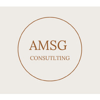 AMSG Consulting logo - Similar company to Amsg