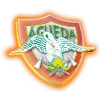 Bombeiros de Águeda / Águeda Fire Department - Portugal logo - Similar company to Ah Bombeiros Parede