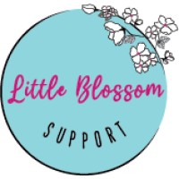 Little Blossom Support logo - Similar company to Turn Up Consulting