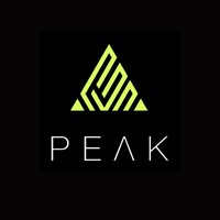 Peak: Your Personalized AI Coach logo - Similar company to Keyai - Recovery Service