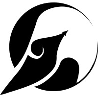 Swanrocket Team