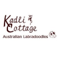 Kadli Cottage Australian Labradoodles