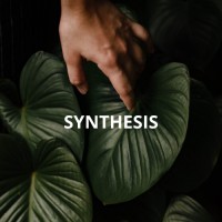 Centro Psicológico Synthesis logo - Similar company to Greentechnology I+D Chile