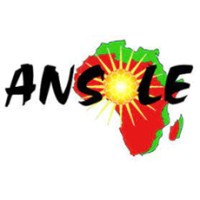 ANSOLE logo - Similar company to Sunrise