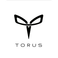 Torus Robotics Pvt Ltd logo - Similar company to Yali Mobility