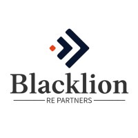 Blacklion Real Estate Partners logo - Similar company to Synerex Construction Group Inc