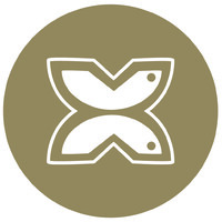 APONI Butterfly by Sandra Ott Coaching logo - Similar company to Di Egidio