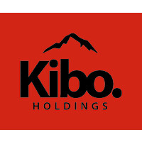 Kibo Holdings logo - Similar company to Linx Construction