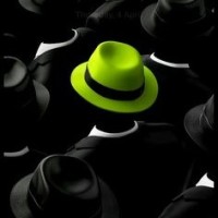 World iGaming Hiring logo - Similar company to Play Maison