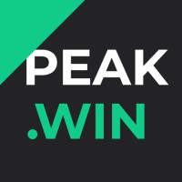 Peakwin logo - Similar company to Styline Digital