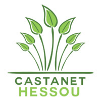 Castanet Hessou logo - Similar company to Frame