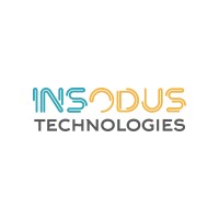 Insodus Technologies logo - Similar company to Gg Cloud