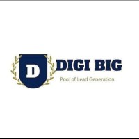 Digibig logo - Similar company to Gochikko India Pvt Ltd