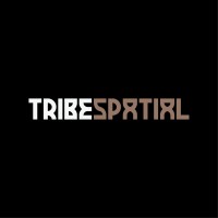 TRIBE SPATIAL logo - Similar company to Kush