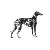 LADERCHI & PARTNERS logo - Similar company to Horus