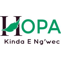 HOPA logo - Similar company to Hopa