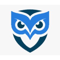 DMCA Takedown Services logo - Similar company to Dmca.Com - World Leaders In Internet Copyright Protection Services