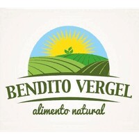 BENDITO VERGEL SAC logo - Similar company to Gustozzi Perú
