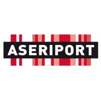 Aseriport logo - Similar company to Vertical Works