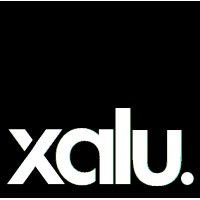 XaluGestion logo - Similar company to Wordfik Vacuum