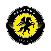 Pegasus Bpo LLC logo - Similar company to Widgeti