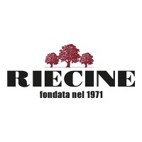 Riecine logo - Similar company to Adtv, Inc
