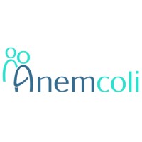 Anemcoli logo - Similar company to 5Five