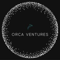 ORCA Ventures logo - Similar company to Orca Venture Builder