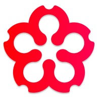Soki AG logo - Similar company to Thikra Technology